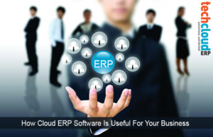 ERP Software in India